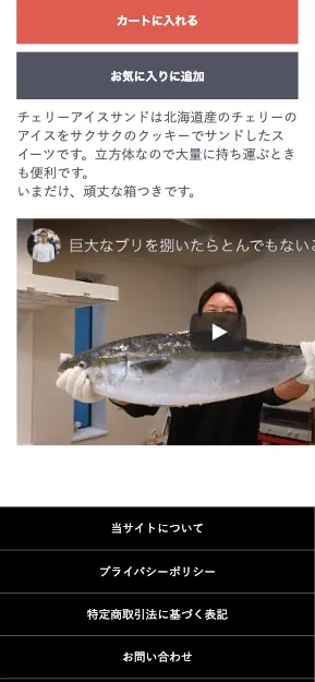 スマホで表示した商品詳細ページ。商品説明の下にYouTube動画が埋め込まれている（レスポンシブ対応前）